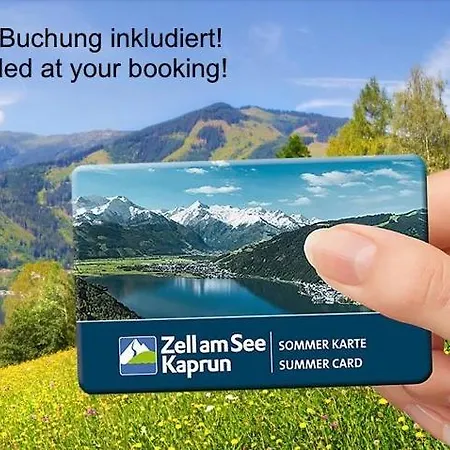 Falcon Zell Am